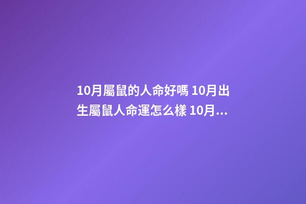 10月屬鼠的人命好嗎 10月出生屬鼠人命運怎么樣 10月屬鼠的人命好嗎-第1張-觀點-玄機派